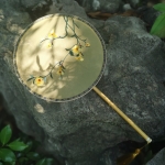 淮北
