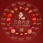 生肖兔
