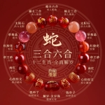 生肖蛇