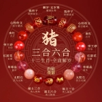 生肖猪