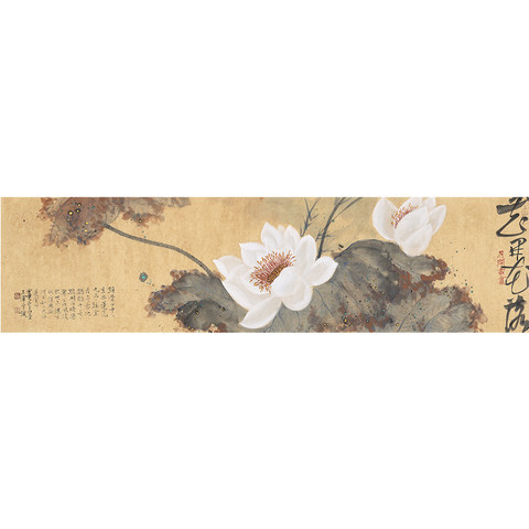 细节展示放大镜特效