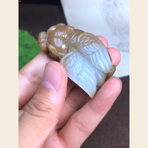 细节展示放大镜特效