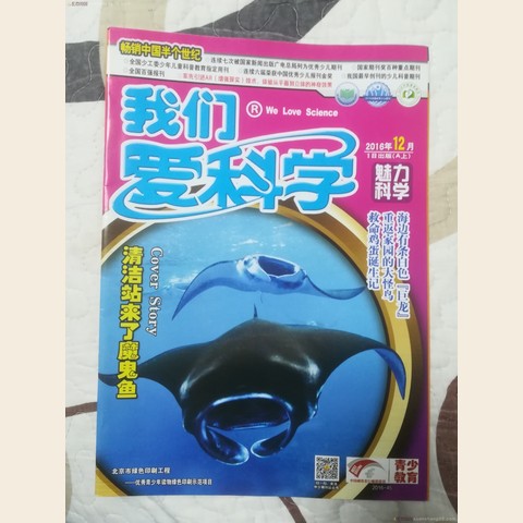 细节展示放大镜特效