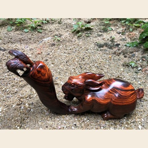 细节展示放大镜特效
