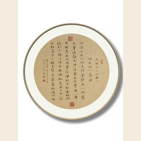 细节展示放大镜特效