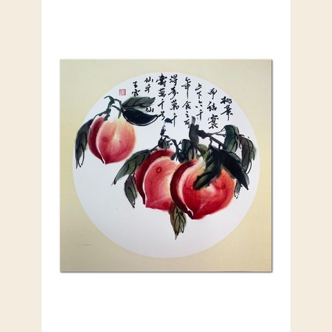 细节展示放大镜特效