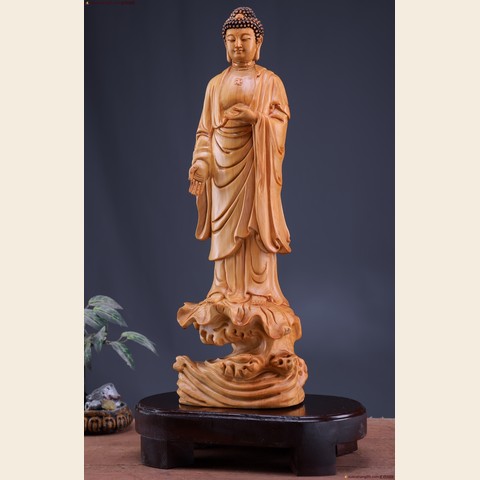 细节展示放大镜特效
