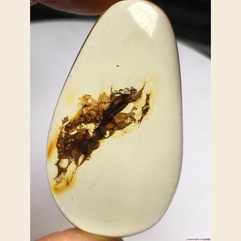 细节展示放大镜特效