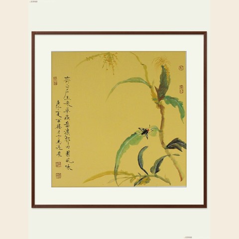 细节展示放大镜特效