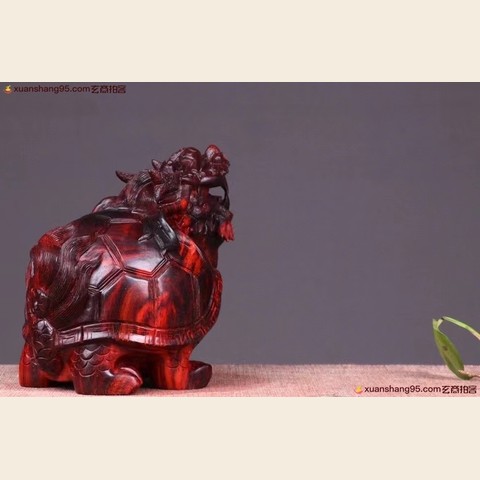 细节展示放大镜特效