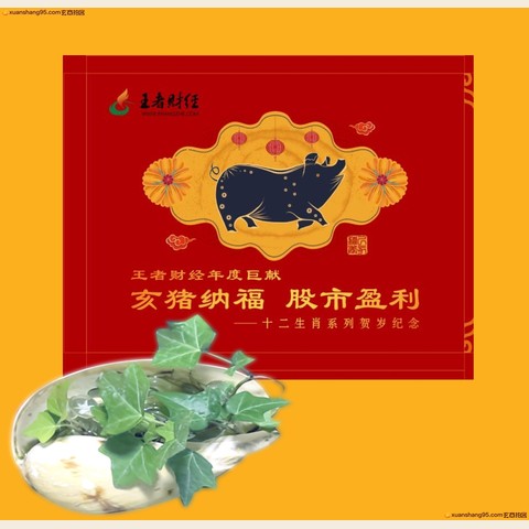 细节展示放大镜特效