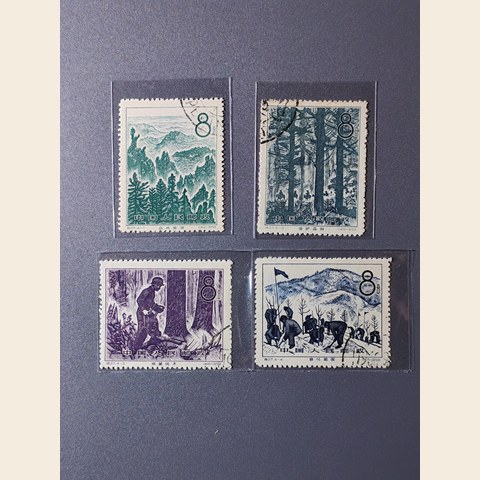 细节展示放大镜特效
