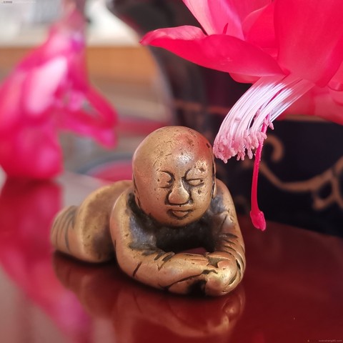 细节展示放大镜特效