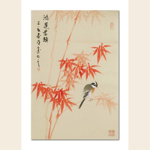 细节展示放大镜特效