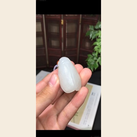 细节展示放大镜特效