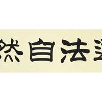 杨宏升《精品书法》