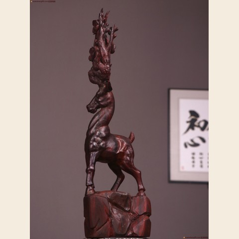 细节展示放大镜特效
