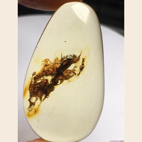 细节展示放大镜特效