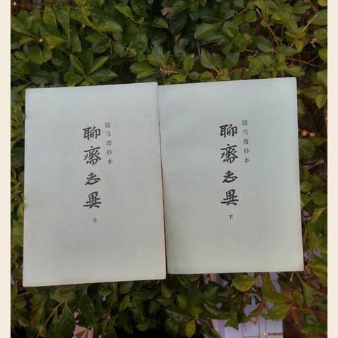 细节展示放大镜特效