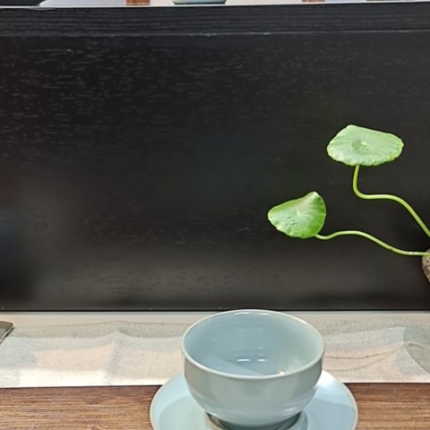 细节展示放大镜特效